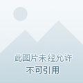 他为何如此特殊
