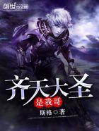 齐天大圣是我哥们