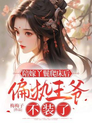 陪嫁丫鬟数数