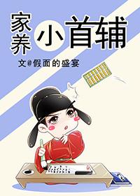 家养小首辅无错版