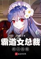 霸道女总裁的小白脸笔趣阁