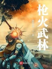 枪火讲的是什么意思
